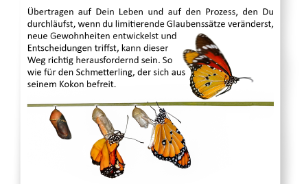 Buchseite mit einer Raupe, die sich in einen Schmetterling verwandelt